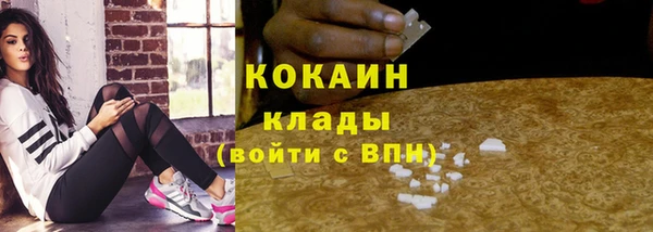 трава Сясьстрой
